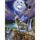 thumbnail image 1 of Taladro Pintura Diamante (DE4480) 5D DIY Novedad Completa Lobo Punto de Cruz Mosaico (B202) 50x70cm FLhrweasw Nuevo, 1 of 1