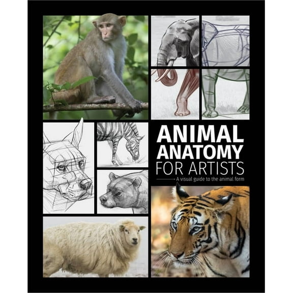 Animal Anatomy for Artists: A Visual Guide to the Animal Form, (Hardcover)