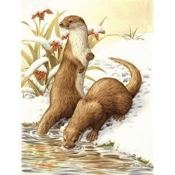 Otters & Gladon Irises Flag Garden Size