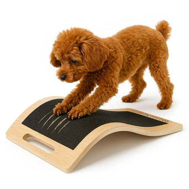 Tabla para rascar uñas para perros LIMENEST con 2 lijas adicionales