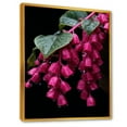 thumbnail image 2 of Designart "Hummingbird with Fuchsia Flowers I" Floral Framed Wall Art - Traditional Pink Fuschia Entryway Framed Wall Art Print, 2 of 6