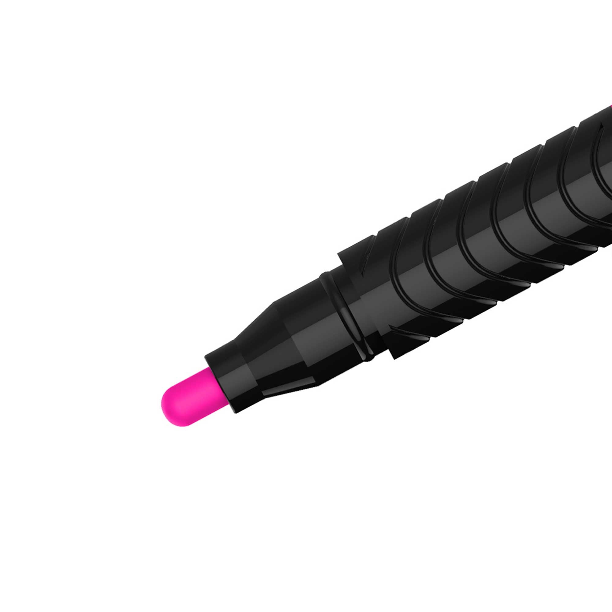 Crayola Signature 10 Count Pearlescent Paint Markers