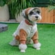 thumbnail image 2 of Double Sided Wearable Dog Clothing Pet Autumn Winter Coats Plush Teddy Frise Shiba Dogs Schneider Cat Clothes Fashion Jackets ShopWise Round, 2 of 6