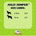 thumbnail image 7 of Jolly Pets Jumper Ball Glow In The Dark 4 inch  Erratic Rubber Dog Treat Toy, 7 of 7