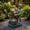 Bronze, variant on 24" Vintage Boy Outdoor Fountain with LED, Cascading Resin Water Feature for Patio Yard,Bronze