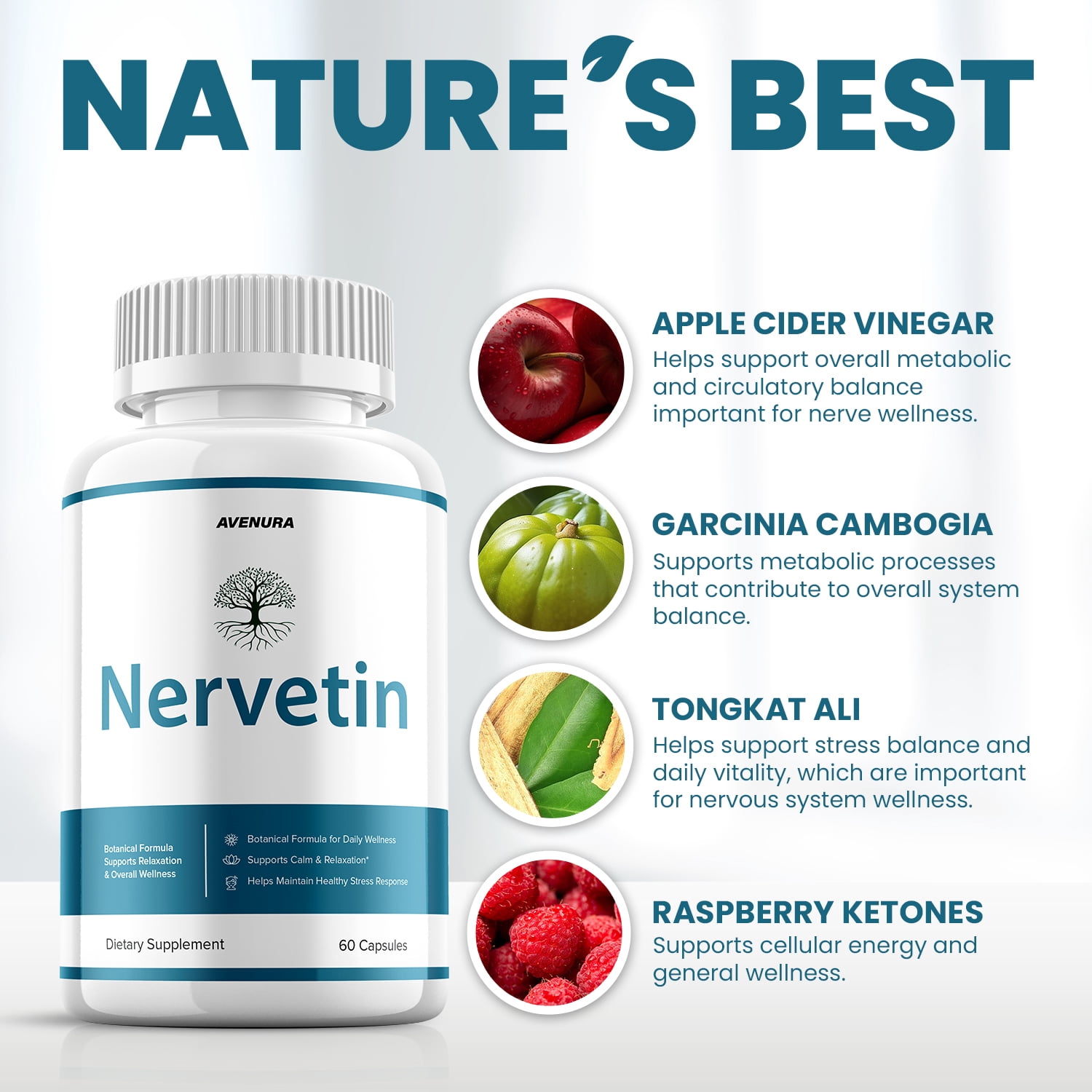 Nervetin Pills – Nervetin Natural Ingredients Nootropic Supplement for Health Support, 1 Pack, 60 Capsules