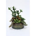 thumbnail image 1 of Distinctive Designs 1938 Cactus avec Jade et Poule et Poussins dans un Récipient Rond en Métal - Greens, 1 of 1