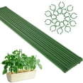 thumbnail image 3 of Paquete de 20 estacas para plantas con 20 clips para plantas, 18 pulgadas, estaca de soporte para plantas reutilizable, varillas de soporte para plantas de plástico de un solo tallo para plantas en ma, 3 of 11