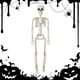 thumbnail image 1 of Esqueleto Espeluznante Y Aterrador Halloween Recuerdos Fiesta Realistas, 1 of 9