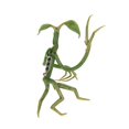 thumbnail image 3 of elope Fantastic Beasts Pickett Bowtruckle Pin Pendant Costume Accessory Green, 3 of 6