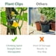 thumbnail image 4 of Clips para plantas 60 piezas Extra grandes Clips para plantas Clip estable para asegurar plantas Soportes para plantar (30 grandes + 30 pequeños) BANYUO Hogar, 4 of 7