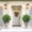 2Pcs Green, variant on EastVita 25in Artificial Cedar Topiary Trees with Ground Spike for Outdoor-Fake Topiary Ball Trees Artificial Plant Brush for Indoor Outdoor Set of 2