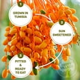thumbnail image 7 of Happy Village Organic Soft Dried Pitted Dates 3 Bags 15 Packs, 7 of 7
