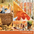 thumbnail image 4 of Yankee Candle Concentrated Air Freshener Room Spray, Odor Eliminator for Home, Bathroom, Autumn Leaves, 1.5 Oz (Pack of 3), 4 of 7