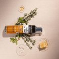 thumbnail image 4 of Variedad de bálsamo labial teñido – Bambalo 4 unidades de cuidado hidratante – Tonos variados – Fórmula orgánica natural – Tinte suave y ligero – Hecho en Estados Unidos, 4 of 5