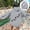 Grey, variant on Women's Letter Print Hoodies Long Sleeved Hoodie With Pockets Long Sweatshirt Jacket Womens Snap Hoodies Hooded Cardigan Women Cowboys Sweater Women Long Lined Jacket Sweatshirt Dress for Women Long