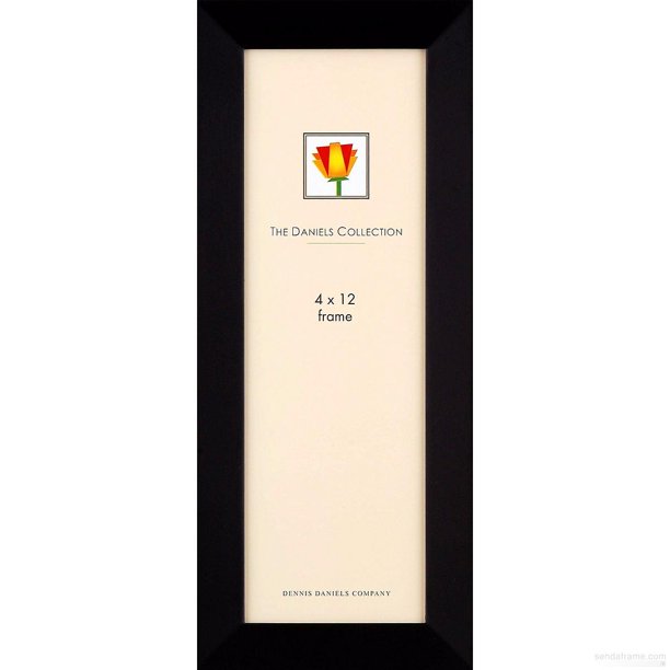 Bevelled Black Classic Panoramic 12x4 Frame By Dennis Daniels Walmart Com