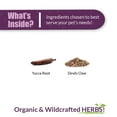 thumbnail image 5 of Amber NaturalZ Catizol for Cats | Promotes Physical and Mental Well-Being 1oz, 5 of 6