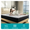 thumbnail image 6 of EDX 12 Inch TwinXL Mattress and Spring Hybrid Foam for Pressure Relief, CertiPUR-US Certified Mattresses with Durable Support, Mattress in a Box, Medium Firm, 6 of 9