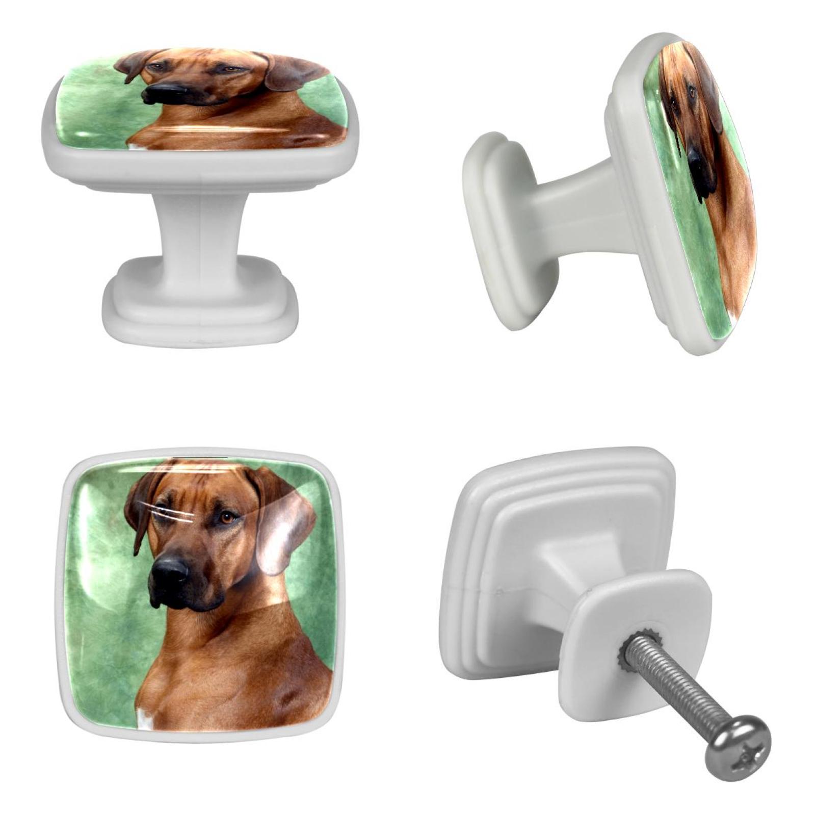 Ownta 4 Pcs Square Cabinet Handle Cupboard Fluorescence Knob Glowing in the Dark Drawer Pulls Handle Drawer Knobs with Screws Furniture Decor Rhodesian Ridgeback Dog - image 4 of 5
