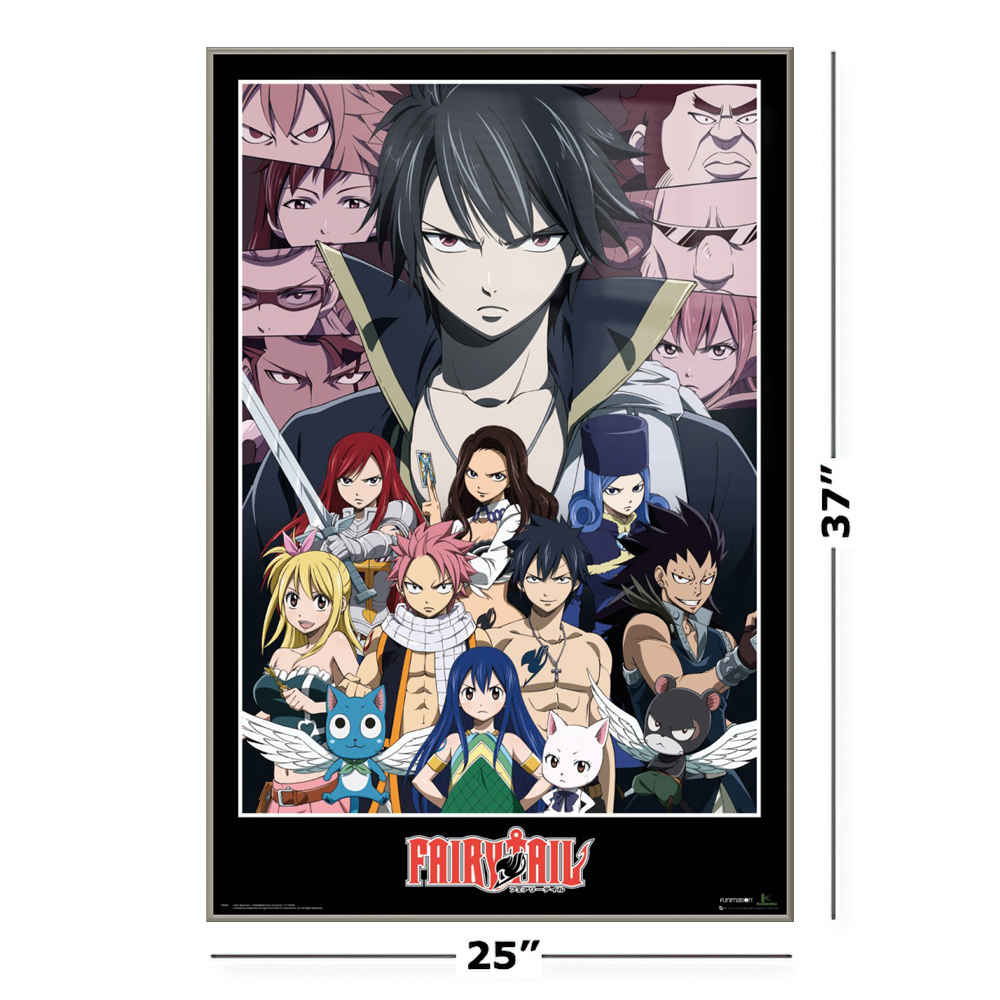 Fairy Tail Framed Tv Show Poster All Characters Montage Size 24 X 36 Brushed Champagne Aluminum Frame Walmart Com Walmart Com