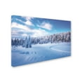 thumbnail image 2 of Trademark Fine Art 'Into the Spot' Canvas Art by Philippe Sainte-Laudy, 2 of 3