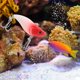 thumbnail image 5 of Señuelo Artificial de plástico VIB de 6cm, cebo de pesca, anzuelos Wobbler que se hunden coloridos, aparejos (VI035-6), 5 of 8