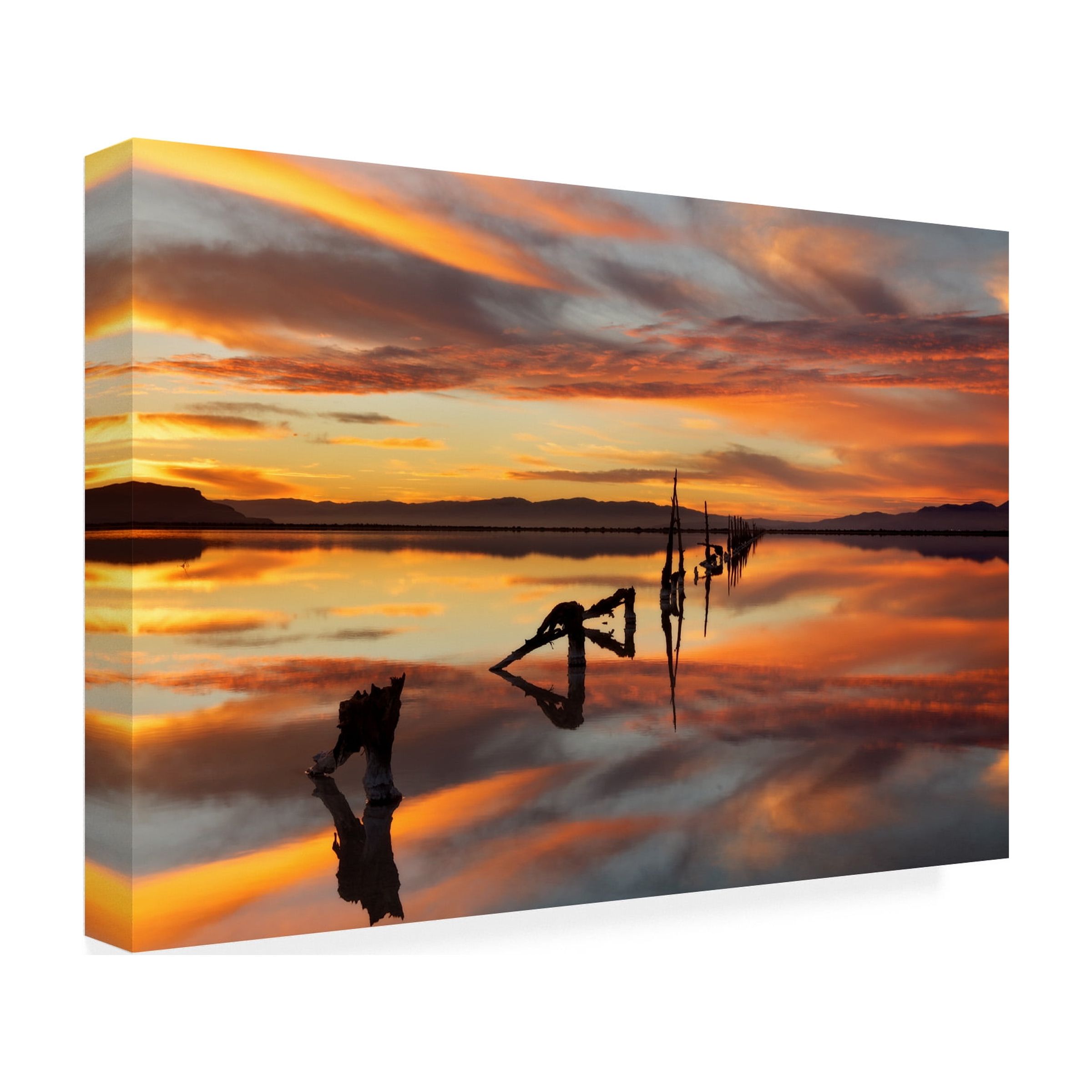 Trademark Fine Art 'Great Salt Lake Pilings Sunset' Canvas Art by Mike Jones Photo