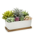 thumbnail image 6 of MyGift Artificial Succulents in Ceramic Pot with Bamboo Tray, 6 of 7