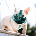 thumbnail image 4 of Short Snout Dog Muzzles- Adjustable Breathable Mesh Bulldog Muzzle for Biting Chewing Barking Dog Mask(Green), 4 of 6