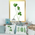 thumbnail image 3 of Designart 'Field Green Plant Detail Clover' Farmhouse Framed Art Print, 3 of 4