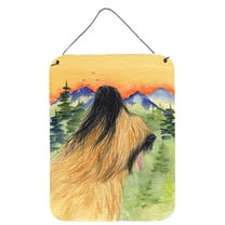 Caroline's Treasures SS8318DS1216 Briard Wall or Door Hanging Prints, 12x16, multicolor