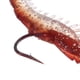 thumbnail image 5 of 3pcs 6cm/3g Artificial Fishing Lure Shrimp Prawn Soft Bait Fishing Tackle Noctilucent Luminous Life, 5 of 5