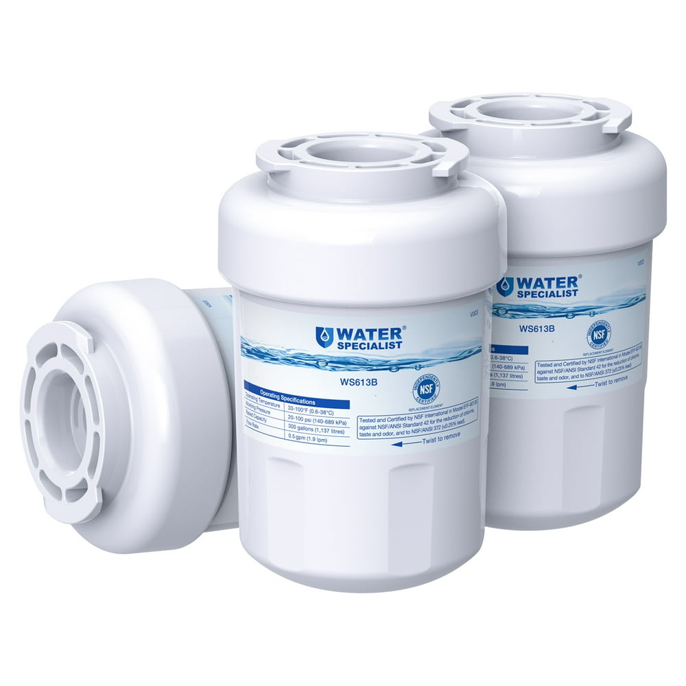 Waterspecialist MWF Water Filter for GE Refrigerator, Replacement for