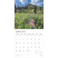 thumbnail image 4 of Inspiration | 2025 12x24" (Hanging) 18 Month Wall Calendar | Jul '24 - Dec '25 | Plato, 4 of 9