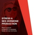 thumbnail image 5 of Protocol Niacin 500mg Flush Free - Vitamin B3 - Energy - 90 Veg Caps, 5 of 8