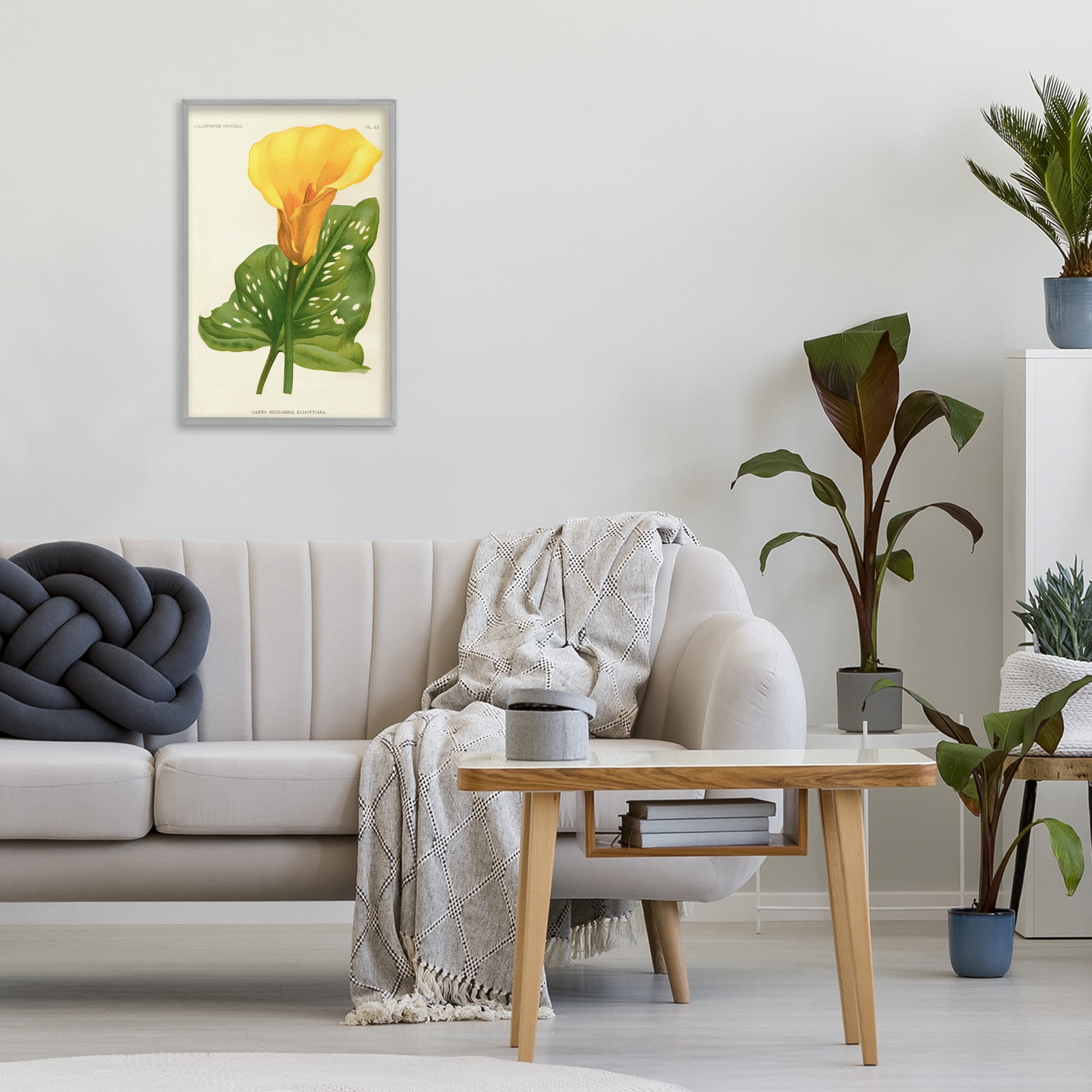 Stupell Industries Yellow Canna Lily Gray Framed Giclee Art, design by Print Collection