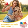 thumbnail image 3 of Tockfit Dog Treats Dispensing Slow Feeder,Interactive Dog Balls Chew Toys for Aggressive Chewers, Dog Puzzle Toy,3 Pack Fruit-Shaped,Medium, 3 of 13