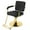 Black & Gold, variant on Artist hand Hydraulic Barber Chair Heavy Duty Hair Styling Beauty Salon Spa Equipment(Black+Gold)