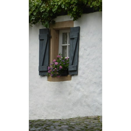 Shutters Window Boxes - Laminated Poster Window Home Facade Shutter Flower Box Building Poster Print 11 x 17