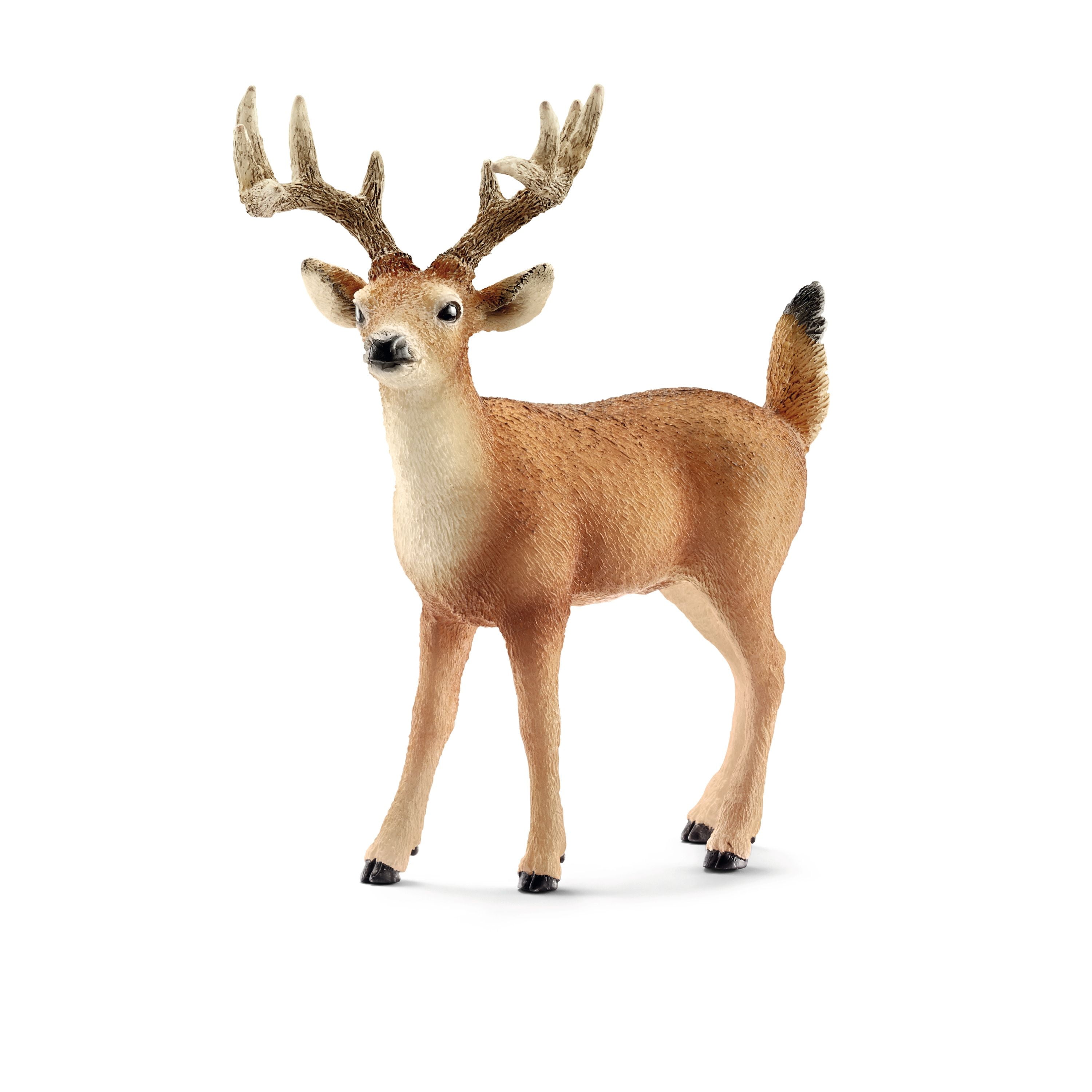 Schleich White-tailed Buck Toy Figure 2018 for sale online 