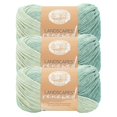 thumbnail image 1 of Hilo reacondicionado Lion Brand Landscapes Renewed, multicolor reciclado para tejer, menta dulce, pa, 1 of 6