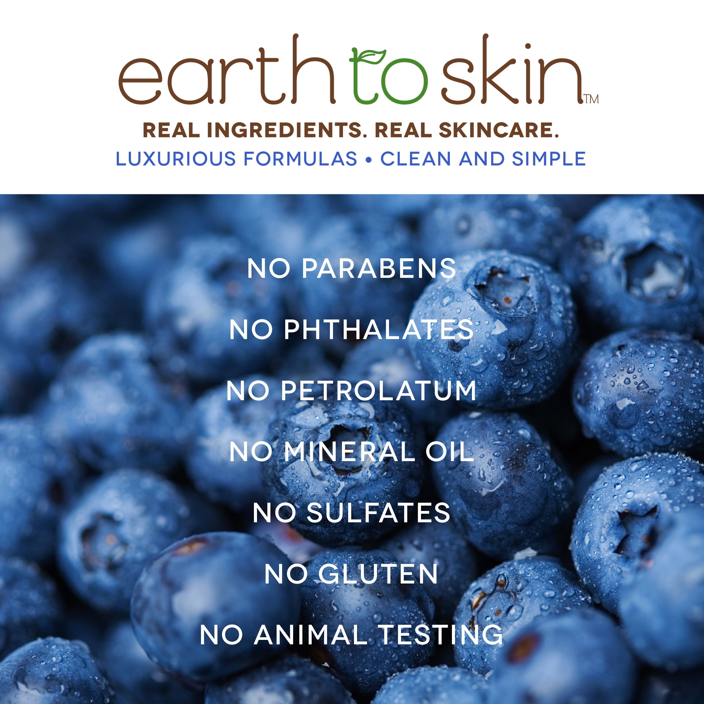 Earth To Skin Super Fruits Blueberry Exfoliating Cleanser, 5 oz
