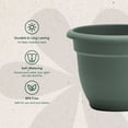thumbnail image 4 of Bloem Ariana 20" Self-Watering Plastic Planter - Rolled Rim Indoor/Outdoor Garden Pot, Basil, 4 of 7