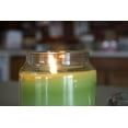 thumbnail image 2 of Yankee Candle Granny Smith Large Classic Jar Candle (Returning Favorite), 2 of 3