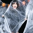 thumbnail image 4 of Halloween Decoration Secret Room Silk Decoration 20g Cotton 2, 4 of 8