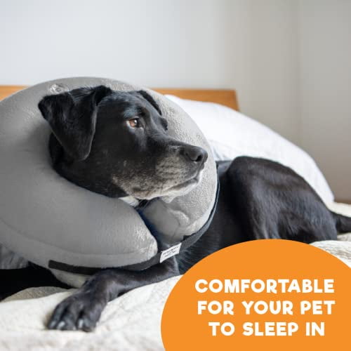 Can Dogs Sleep In E Collars