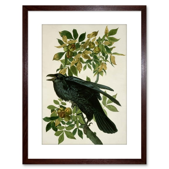 Painting Nature Animal Bird Audubon Raven Artwork Framed Wall Art Print 9X7 Inch