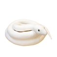 thumbnail image 2 of Photo Studio Photo Garden Layout Props Zoo Simulation Snake Green Snake White Snake Plush Toy Snake Doll, 2 of 2