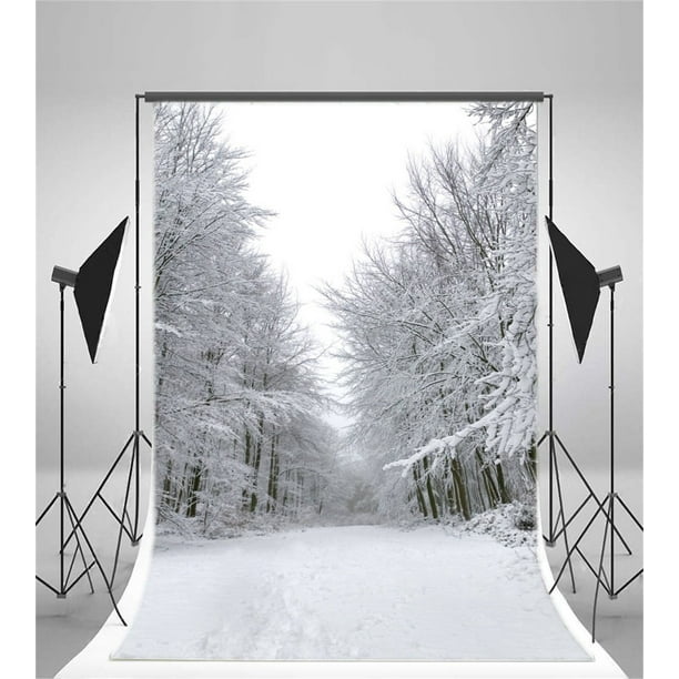 Boîte de Noël motif feuillage hiver gris et blanc x2